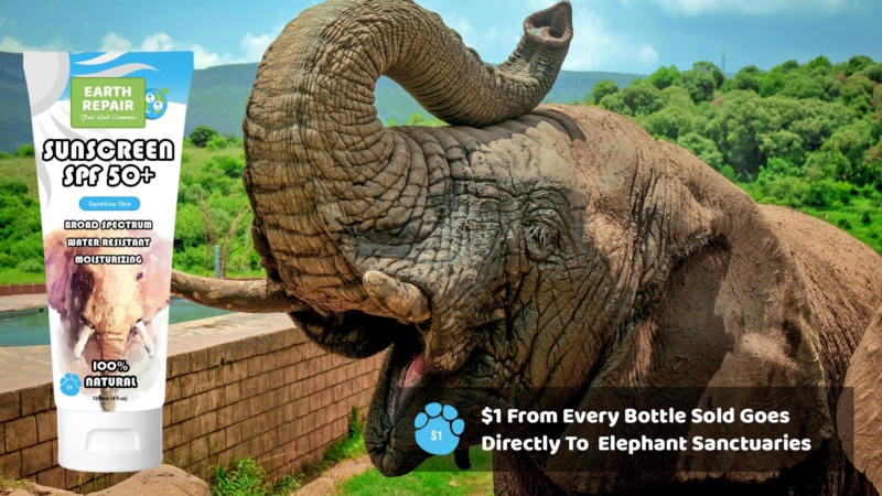 Earth Repair Mineral Sunscreen SPF 50 Elephant Foundation Donation Poster